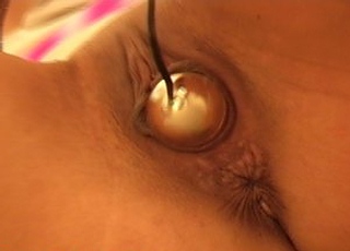 Free Porn Movies