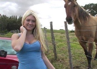 Free Porn Movies