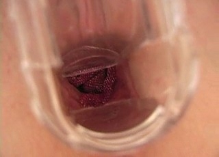 Free Porn Movies