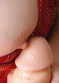 Free Porn Pictures