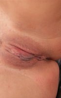 Free Porn Pictures