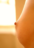 Free Porn Pictures