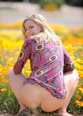 Free Porn Pictures